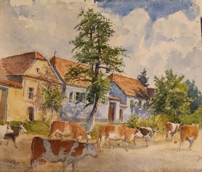 Viscri House Cows by Tim Scott Bolton
